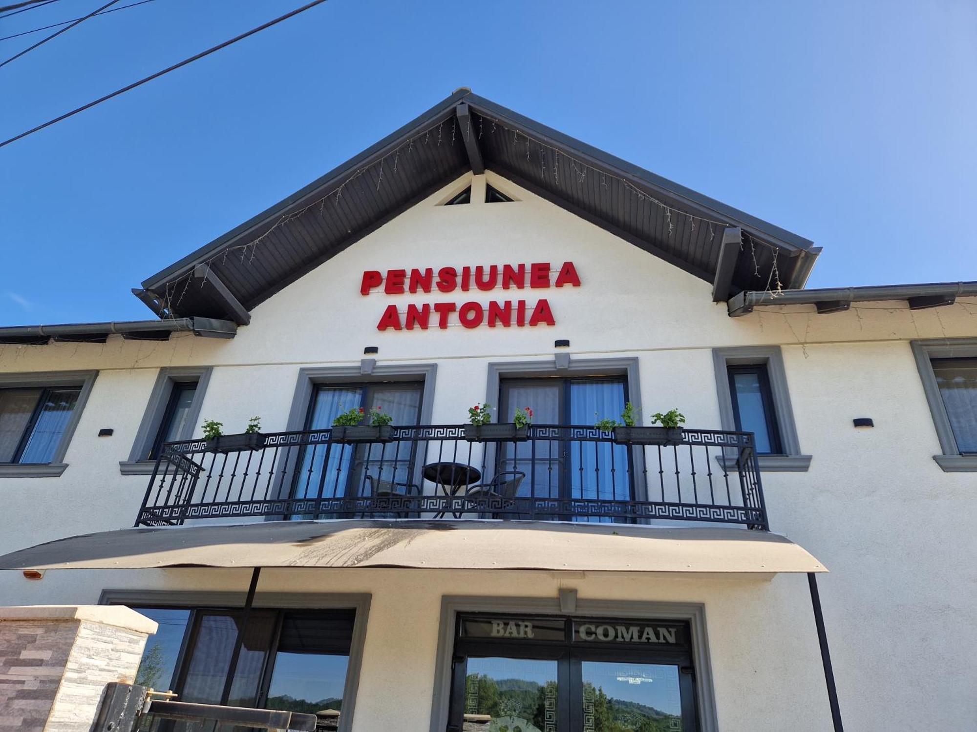 סיגטו מרמטי Pensiunea Antonia חדר תמונה