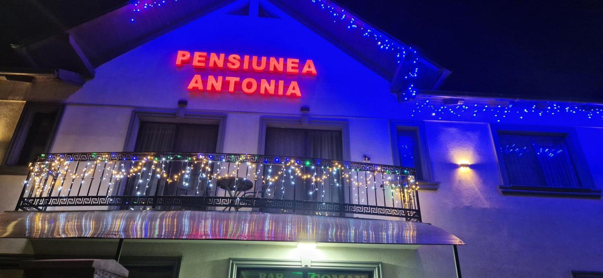 סיגטו מרמטי Pensiunea Antonia מראה חיצוני תמונה